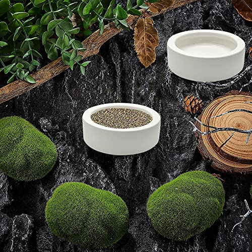 3 Pcs Reptile Food Bowl, Ceramic Water Feeder Bowl for Lizard Anoles Bearded Dragons Crested Gecko Hermit Crabs Triangular | Mini Reptile Feeder Reptile Food Bowls Bearded Dragon Bowl
