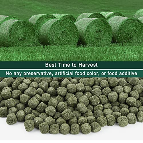 Timothy Hay Cubes, 6oz Small Pet Feed | 100% natural timothy hay cubes, specially for rabbits, sulcata tortoises, guinea pigs - size: 6 Ounce (Pack of 1)