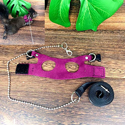 Squirrel Traction Rope with 1.8m Lead Leah, Adjustable Small Animal Walking Harness, Anti-Biting Chain Rope Vest Strap for Hamster Gerbil Rat Mouse Ferret Chinchilla and Small Animals - color: Purple