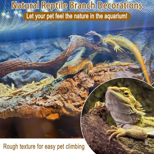 Reptile Decor 3PCS Natural Forest Branch Terrarium Habitat Decoration Lizard Climbing Tree Branch for Bearded Dragon Gecko Snake Frog Chameleon Spider
