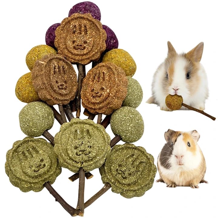 Fhiny Rabbit Chew Toys, 15 PCS Natural Bunny Lollipop Chew Sticks Handmade Guinea Pig Molar Treats for Teeth Small Animals Snacks for Guinea Pig Bunny Chinchilla Hamster Gerbil Teeth Care