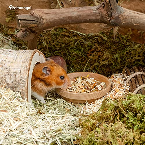 Niteangel Wooden Hamster Food Bowl: Beech Stable & No Pattern for Syrian | Prevent Oil & Dust Small Animal Feeding Dish for Dwarf Syrian Hamsters Gerbils Mice Degus or Other Similar-Sized Small Pets - size: For Syrian