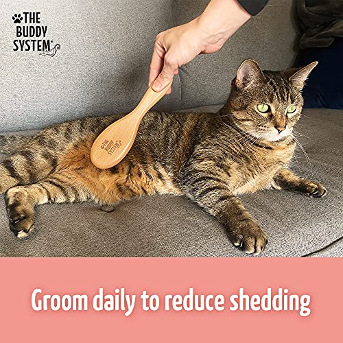 The Buddy System - Soft Cat Brush with Boar Bristles, 1 Pack | Cat brush with wooden handle, daily grooming pet brush, reduce shedding and gives coat a healthy shine - boar bristles