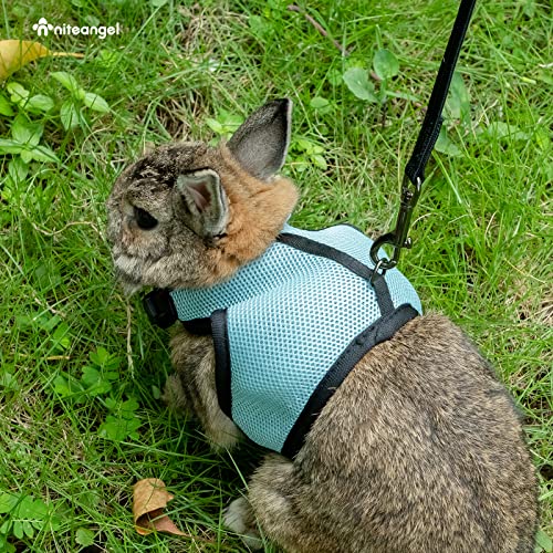 Niteangel Adjustable Soft Harness with Elastic Leash for Rabbits (L, Black) - color: Black, size: L