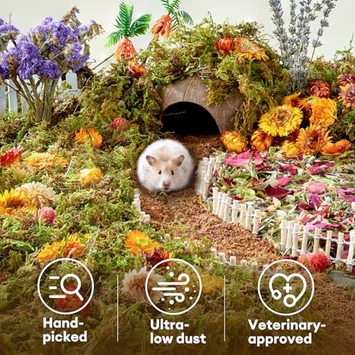 BUCATSTATE 5L Natural Flower & Hamster Bedding | Soft Natural Bedding for Hamster Enrichment for Small Pets & Dwarf Syrian Hamsters, Gerbils, Mice