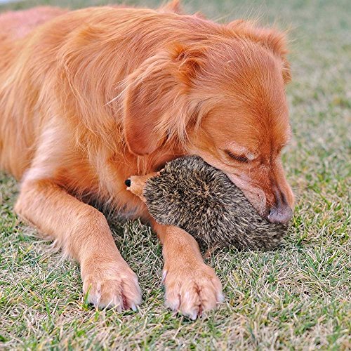 ZippyPaws Hedgehog Dog Squeaky Toys to Keep Them Busy, Cute Plush | for Small, Medium, & Large Dogs, Stuffed Puppy Toy, Pet Products, Gift for All Breeds, Interactive Squeaker