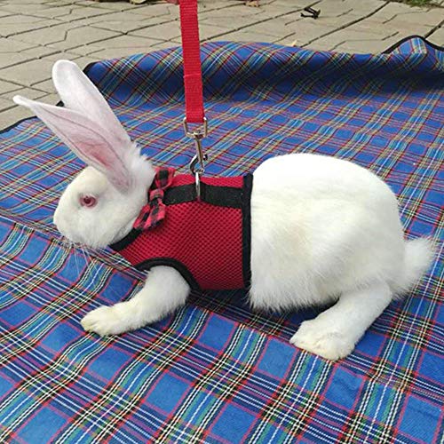 Rabbit Harness with Leash Adjustable Soft Mesh Vest Harness for Bunny Kitten Guinea Pig Rat (L, Red) - color: Red, size: L