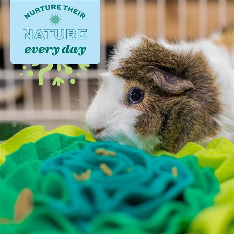 Oxbow Lettuce Forage Mat for Rabbits & Guinea Pigs, Enriching Food Puzzle | Oxbow Enriched Life, Small Animal Enrichment, Food Mat, Rabbits, Guinea Pigs, Hamsters, Chinchillas, Fleece, Scatter Feeding