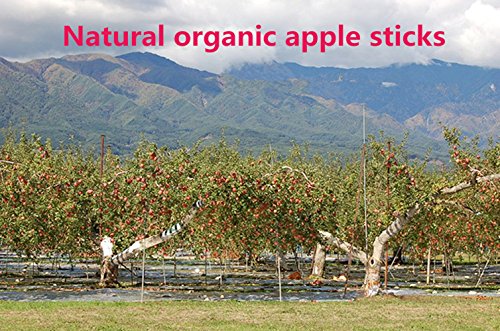 sharllen 100g (3.5oz) Apple Sticks Pet Snacks Chew Toys for Guinea Pigs Chinchilla Squirrel Rabbits Hamster - size: 3.5 Ounce (Pack of 1)