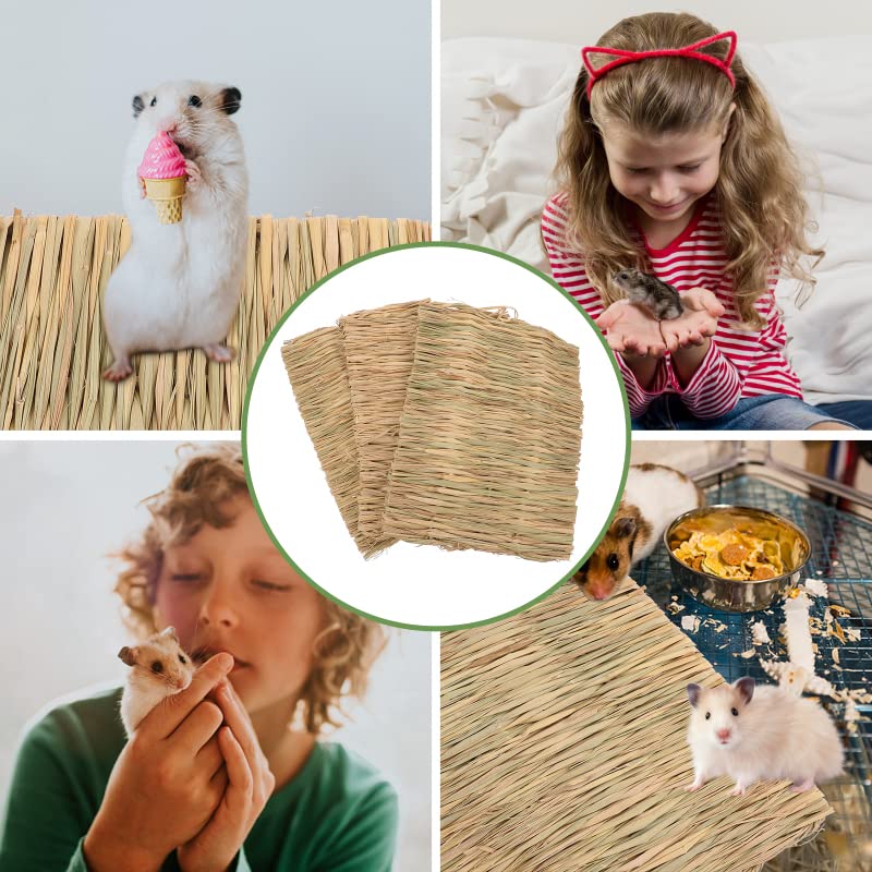ANDES Bunny Toys 30PCS Guinea Pig Toys Rabbit Toys Accessories Natural Timothy Biscuit Hay Sticks Hamster Toys for Teeth Handmade Rabbit Chews and Treats Apple Wood Sticks Chinchilla Rat Teeth Molar