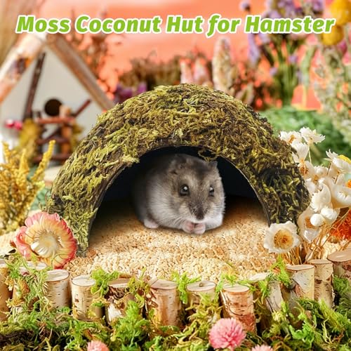 BNOSDM Hamster Hideout Natural Mossy Cave Hamster Houses and Hideouts Moss Covered Coconut Enclosed Hiding Hut for Mice Habitat Hamster Cage Accessories for Dwarf Gerbil Syrian Fancy Mouse - size: Small-1Pcs