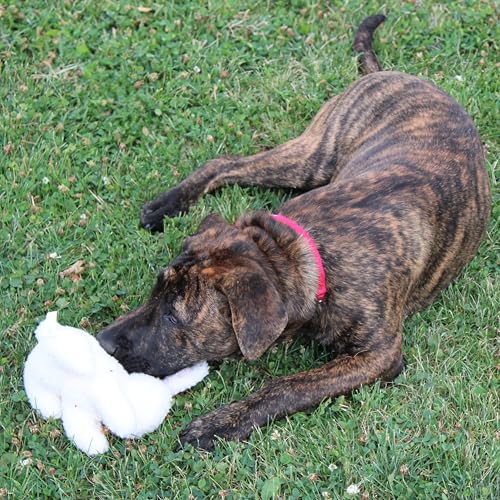 SPOT 6in Vermont Style Fleece Rabbit Dog Toy – Soft Comfort Plushie for Small Dogs & Puppies – Built-in Squeaker – Safe for Light Chewers – No Plastic Parts – Calming & Cuddly Pet Toy - size: 6 inch (Pack of 1), style: Rabbit