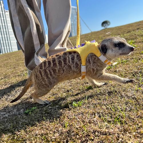 Ferret Harness and Leash Set Small Animals Vest Harness with Safe bell Dinosaur Shaped Walking clothes for Baby Rabbit Guinea pig Teacup Chihuahua Mouse and other small pet.(Yellow Dinosaur) - color: Yellow Dinosaur