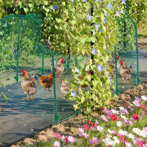 Yalikop Large Chicken Tunnel Coop Run, 157 × 31.5 x 25.5 Inch, Easy to Install Green Yard Poultry Tunnel for Outdoor Yard, Ideal for Chickens, Ducks, Rabbits, and Small Animals