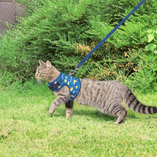 BINGPET Cat Harness and Leash Set, Escape Proof and Adjustable, Small | Step-in Vest, Lightweight Soft Breathable Mesh, Hook & Loop, Easy Control for Kittens & Small Cats Walking Travel - color: Galaxy, size: Small