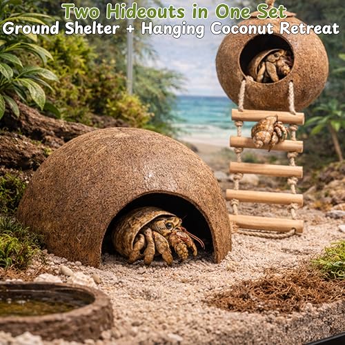 Hermit Crab Coconut Hideout Climbing Toys, Hermit Crab Coconut Shell Hut and Hideout with Ladder, Climbing Ladder Bridge Ramp Hammock Toys, Small Animals Tank Accessories (Coconut Ladder)