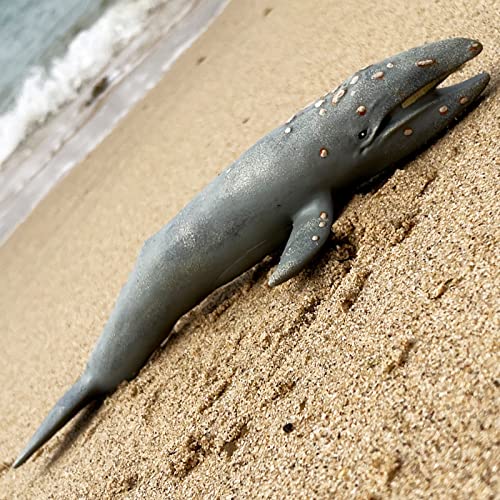 Gemini & Genius Sea Life Gray Whale, Large Grey Whale Realistic Wildlife Toy Replica Hand Painted Whale Figurine, Ocean Model Toy, Educational, Role Play, Swim, Bath and Collectors for Kids | Replica Hand Painted Whale Figurine, Ocean Model Toy, Education