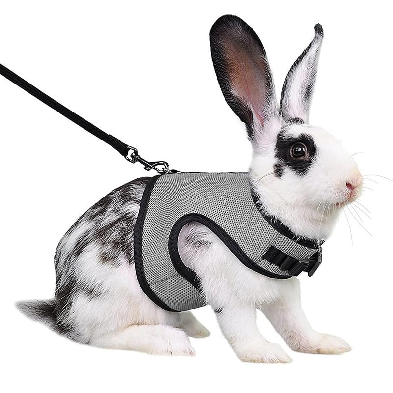 Rabbit Harness and Leash Escape Proof Soft Mesh Bunny Leash and Harness Set | Grey, Breathable Mesh Prevents Overheating,Dual Adjustable Tape Quick Buckle Anti-escape,For Rabbits Ferret and Small Animals - color: Grey, size: L(Chest 7.9–12.6 in)Rabbit,You
