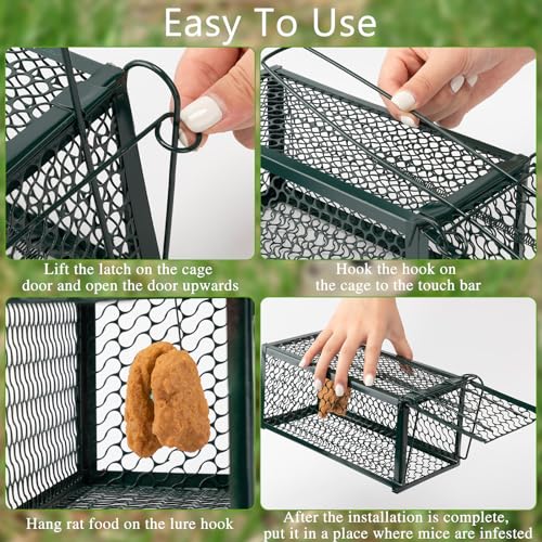 Qualirey 2 Pcs Humane Rat Trap Chipmunk Rodent Mouse Squirrel Trap,Green | 9.1 x 4.5 x 4.5 Inches Mouse Voles Hamsters Cage Rat Cage for Mice Easy to Catch and Release - color: Green