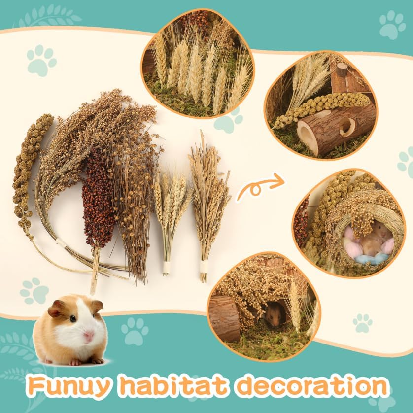 Hamster Spray Set - Natural Snack Grains & Chew Toys for Cage Decoration Accessories, Soft Bedding for Dwarf Syrian Hamsters, Gerbils, Mice & Small Pets - size: 6 Kinds of Grains