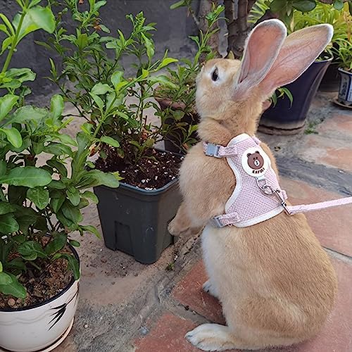 Rabbit Harness and Leash Set 2 Pieces Adjustable Bunny Harness Leash Ferret Harness Guinea Pig Harness Ferret Leash for Small Pets Walking Outdoor (Blue, Small) - color: Blue
