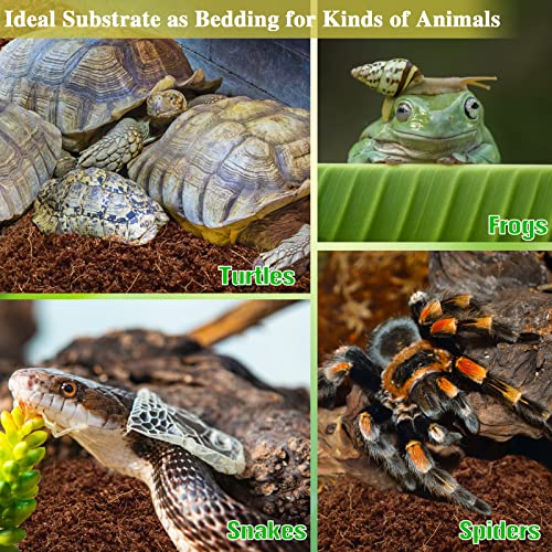ZeeDix 4 Pack Coconut Fiber Substrate, Premium Coco Coir Reptile Substrate | 100% Coconut Husk Terrarium Bedding for Reptiles, Tortoise, Bearded Dragon, Gecko, Snake, Hermit Crabs, Frogs, Tarantula - color: 4pcs
