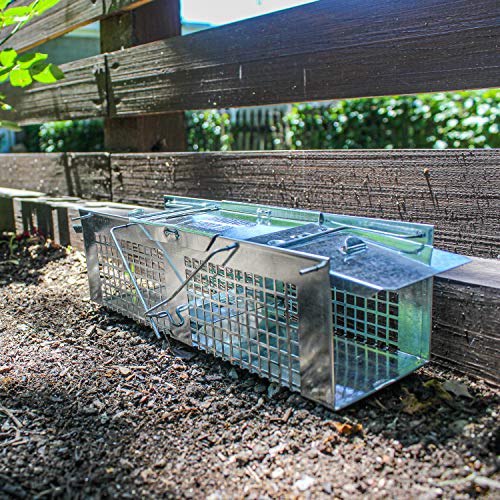 Havahart X-Small Animal Trap, 2-Door Humane Trap for Mice, Voles, Shrews | Humane Catch & Release Trap for Moles & Small Rodents, Galvanized Steel Mesh Construction, Weather-Resistant, Mouse Traps