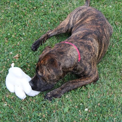 SPOT 6in Vermont Style Fleece Rabbit Dog Toy – Soft Comfort Plushie for Small Dogs & Puppies – Built-in Squeaker – Safe for Light Chewers – No Plastic Parts – Calming & Cuddly Pet Toy - size: 6 inch (Pack of 1), style: Rabbit