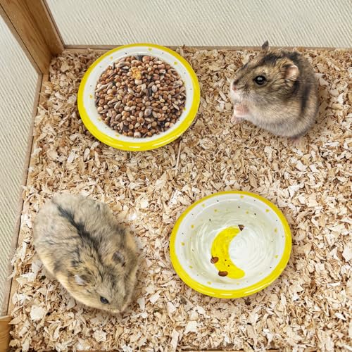 kathson Hamster Ceramic Food Bowl Small Animal Bowls with Banana Pattern for Cage Guinea Pig Anti-Turning Food and Water Dish Pet Feeder for Gerbil Hedgehog 2PCS
