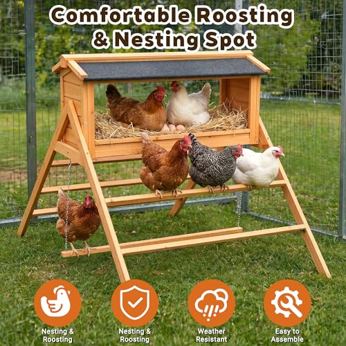 3-in-1 Chicken Coop Accessory with Nesting Boxes, Perch, and Swing | Designed for Use With Large Wooden or Metal Chicken Coops, Ideal for Backyard Chicken Farming and Poultry Farms