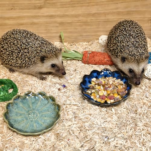4PCS Ceramic Hamster Food Dish,Sunflower Guinea Pig Food Bowls | Rats Anti-Turning Feeding Dishes for Gerbils Mice 4.5in，Shallow Chew-Proof Bowl, Non-Slip Base, Easy to Clean - size: 4Pcs Sunflower