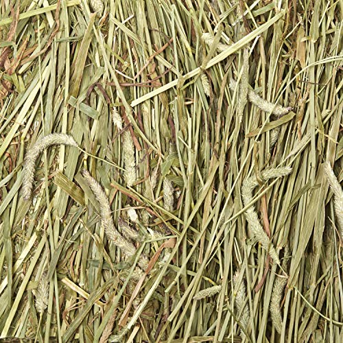 Kaytee Wafer Cut All Natural Timothy Hay for Pet Guinea Pigs, Rabbits & Other Small Animals, 60 Ounce - size: 3.75 Pound (Pack of 1)