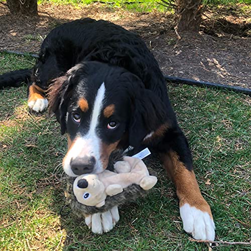 SmartPetLove Snuggle Puppy Tender-Tuffs Crinkle - Large Tough Plush Stuffed Hedgehog Animal Dog Toy with Puncture Resistant Squeaker and Super Strong Seams - style: Hedgehog