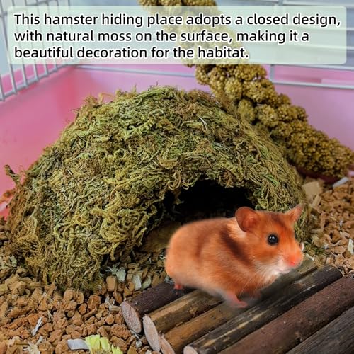 kathson 2Pcs Hamster Hideout House,Natural Mossy Coconut Hut Hides Hideaway | Pet Hiding House, Small Animal Cage Accessories for Mouse Mice Rat Gerbil Reptiles - size: 2 Pcs Small