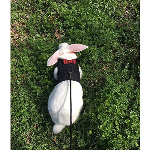 Rabbit Harness with Leash Adjustable Soft Mesh Vest Harness for Bunny Kitten Guinea Pig Rat (M, Black) - color: Black, size: M