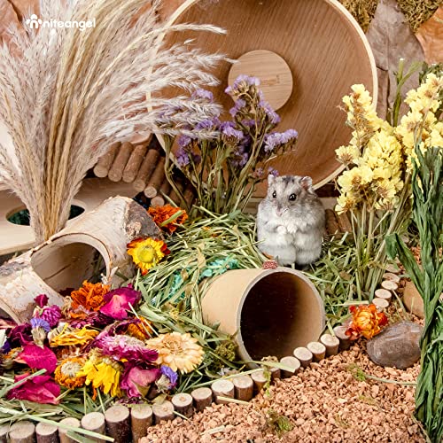 Niteangel Natural & Soft Hamster Bedding Mate: Air-Dried Flowers & No-Add | Fun to Cage Habitat & Adds Vibrant Color - Decor for Syrian Dwarf Hamster Gerbils Mice Degus or Other Small-Sized Pet - size: Flowers Scent Path