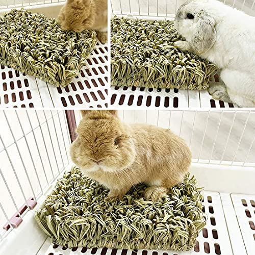 Hamiledyi Rabbit Grass Bed Bunny Natural Woven Foraging Mat Guinea Pig Hay Mat Enrichment Toy Scratch Pad for Chinchilla Squirrel Hedgehog(10.6x7.5x3.5inches) - size: 1PCS