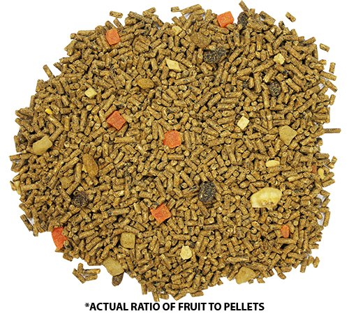 Glider Complete 18 lb | Natural Fruit Bits | Sugar Glider Food - size: 18 Pound (Pack of 1)