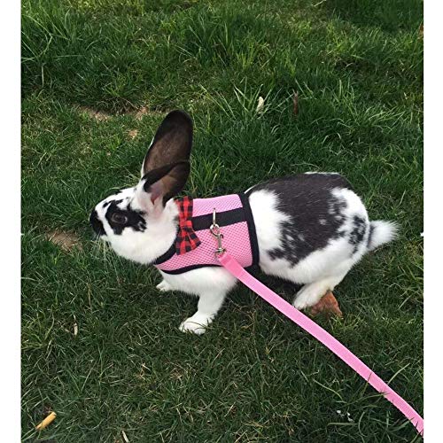 Rabbit Harness with Leash Adjustable Soft Mesh Vest Harness for Bunny Kitten Guinea Pig Rat (L, Pink) - color: Pink, size: L