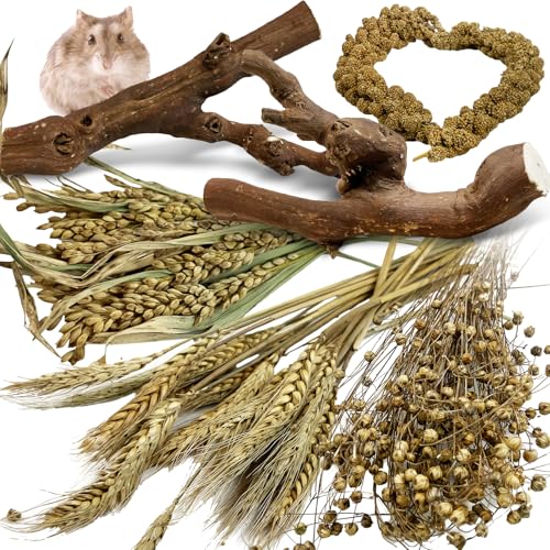 Tfwadmx 2PCS Wood Hamster Climbing Branches & Small Animal Natural Ear of Grain Spray Hamster Bedding Habitat Decor Rat Exercise Toys Treat Cereal Grain for Hamsters Gerbils
