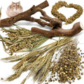 Tfwadmx 2PCS Wood Hamster Climbing Branches & Small Animal Natural Ear of Grain Spray Hamster Bedding Habitat Decor Rat Exercise Toys Treat Cereal Grain for Hamsters Gerbils