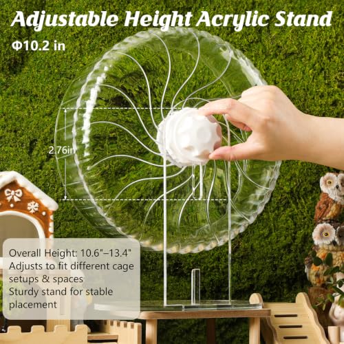 Silent Hamster Wheel, 10.2 Inch, Adjustable Stand, Clear | Clear acrylic wheel with anti-slip track, smooth bearings, and easy-clean design for Syrian hamsters and small pets. - size: 10.2"