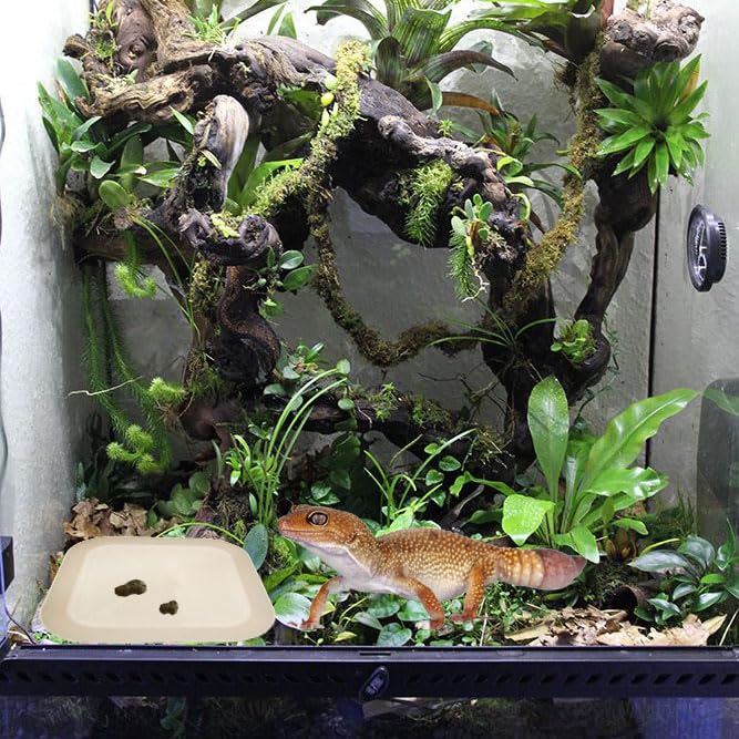 2 Pcs Leopard Gecko Potty Pad,Crested Gecko Potty Latrine，Leopard Gecko Tray，Reptile Litter Box，Portable Gecko Tank Accessories (Beige) - color: Beige