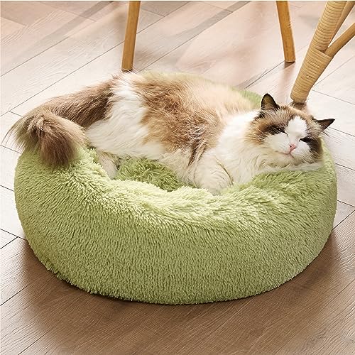 Bedsure Calming Cat Beds for Indoor Cats - Small Cat Bed Washable 20 inches, Anti-Slip Round Fluffy Plush Faux Fur Pet Bed, Fits up to 15 lbs Pets, Green | Fluffy Faux Fur Cuddler,Machine Washable,Anti-Slip Bottom,Anti-Anxiety,Deep Sleeping for Cats&Small
