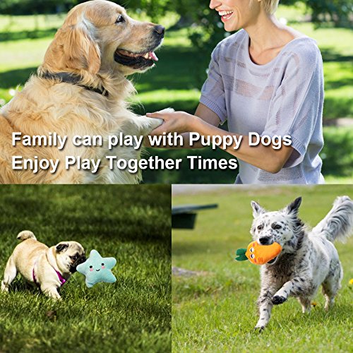 Squeaky Dog Toys for Small Medium Dogs, 9 Pack Stuffed Puppy Teething Toys | Assorted Soft Plush Dog Toys Bundle, Built-In Squeakers, For Puppies Entertainment & Interactive Play ﻿