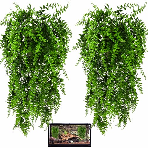 HERCOCCI 2 Pack Reptile Plants, Terrarium Hanging Plants Vines Artificial Leaves Habitat Decorations with Suction Cup for Bearded Dragon Hermit Crab Lizard Snake Geckos Chameleon - color: 2 Pack