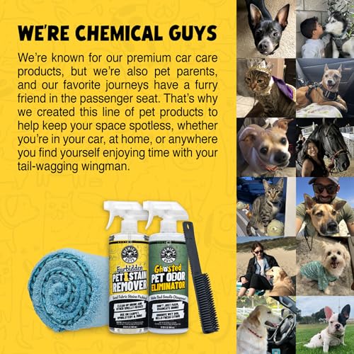 Chemical Guys Professional Rubber Pet Hair Removal Brush – Multi Surface Detailing&Pet Hair Removal Tool for Cars,Trucks,SUVs,RVs&Home – Removes Lint and Debris from Upholstery and Carpet,(Pack of 12) - size: (Pack of 12)
