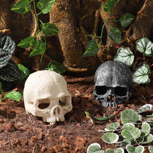 Resin Reptile Hideout for Tank Realistic Skull Decor for Terrarium White Decorative Skeleton Head Hides and Caves for Fish Ball Python Axolotl Tarantula - color: White
