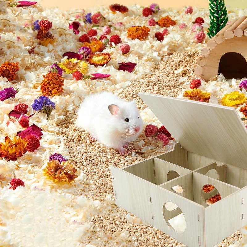 Amonk 7x8.6x3in Multi-Chamber with Play Tunnel Hamster House for Small Pets | Flip Cover Design, Multi-Chamber Hamster House, Secret Peep Shed with User Manual