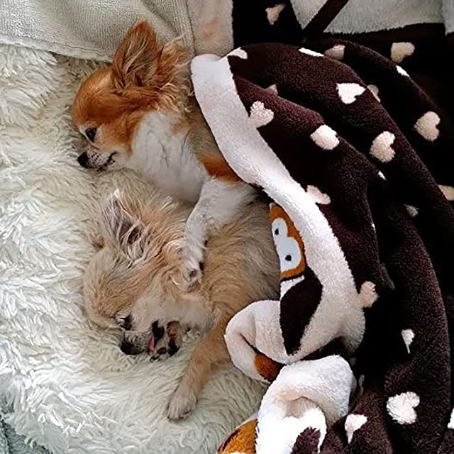 SmartPetLove Snuggle Puppy Blanket for Pets - Warm & Cozy Dog Blanket for Small Dogs - Machine Washable Dog Blanket - color: Neutral